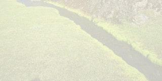 Green_Energy